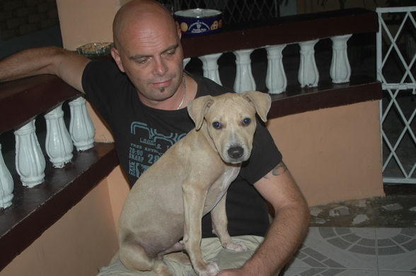 BATISTA - 