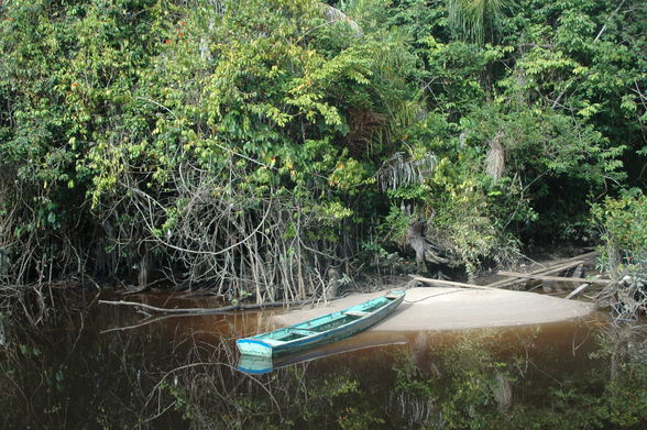 Ausflug nach Kwakwani - 