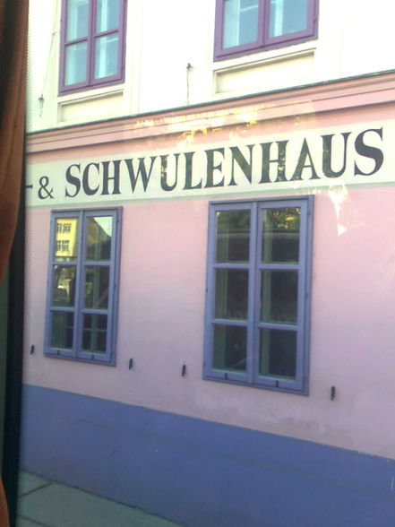 die schwulen wiener - 