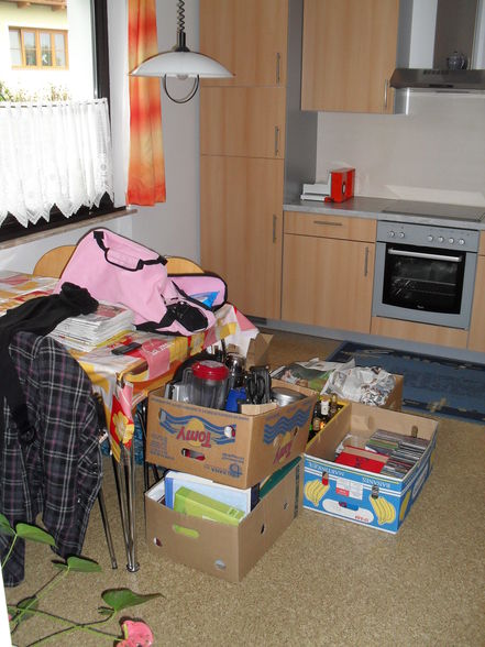 mein neue wohnung 2009 - 