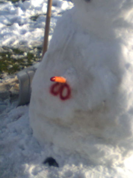 Schneemann baun 2009 - 