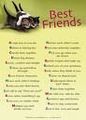 best frinds - 