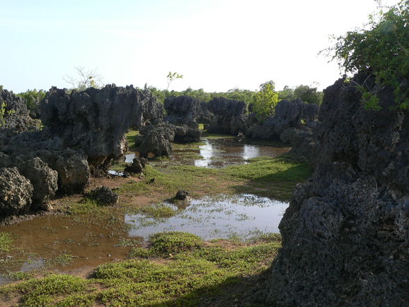 Urlaub Kenia 2005 - 