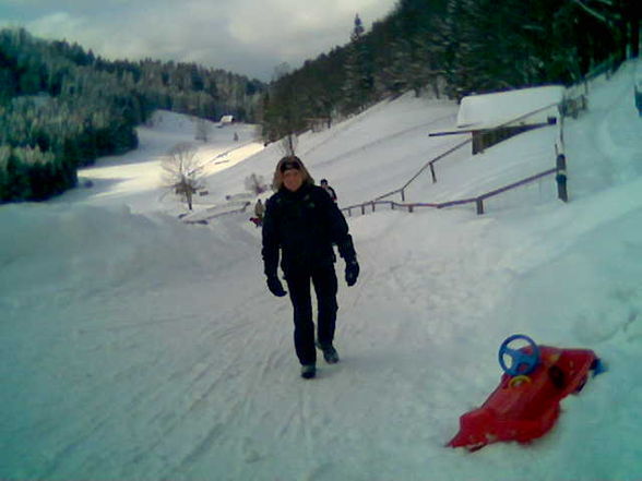 Schlitengaudi auf der Hochsteinalm - 