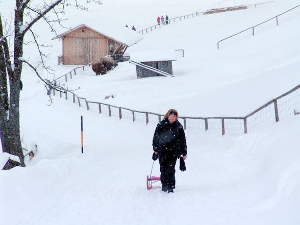 Schlitengaudi auf der Hochsteinalm - 