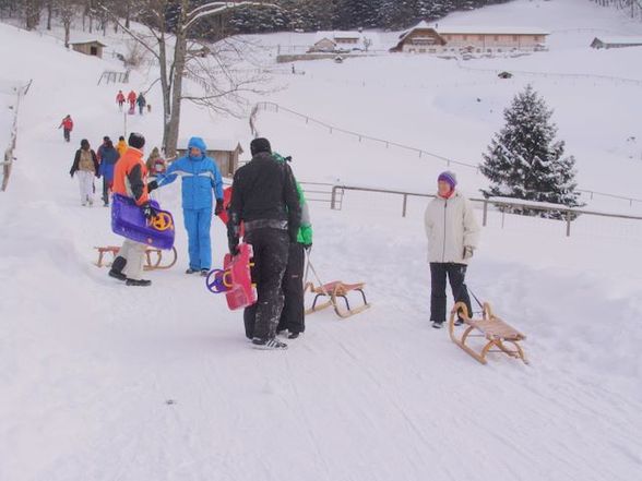 Schlitengaudi auf der Hochsteinalm - 