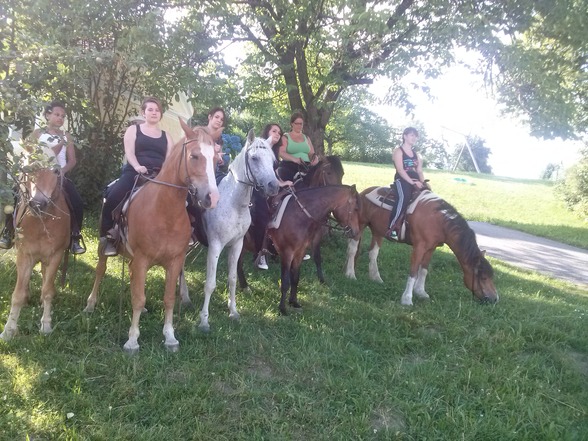 Reiten - 