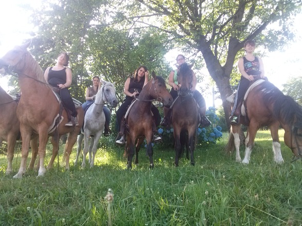 Reiten - 