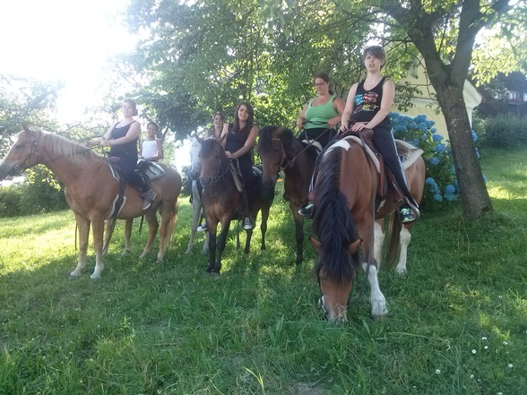 Reiten - 