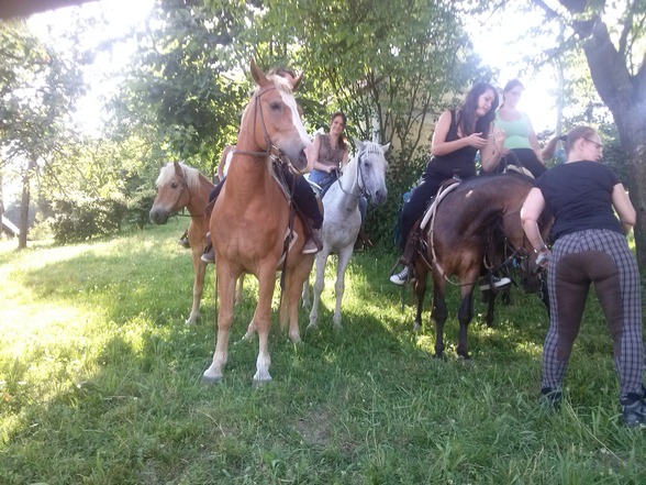 Reiten - 