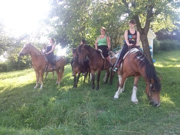 Reiten - 