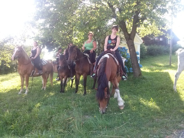 Reiten - 