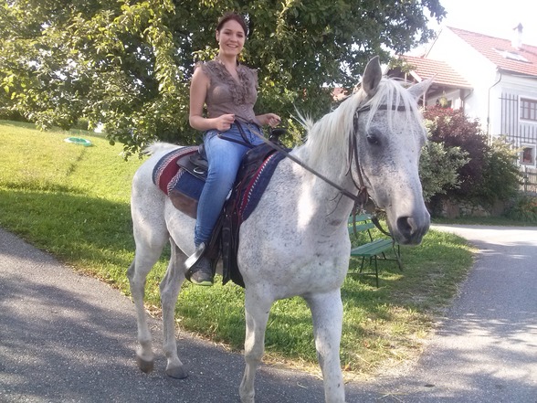 Reiten - 