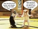 tierisch gut - 