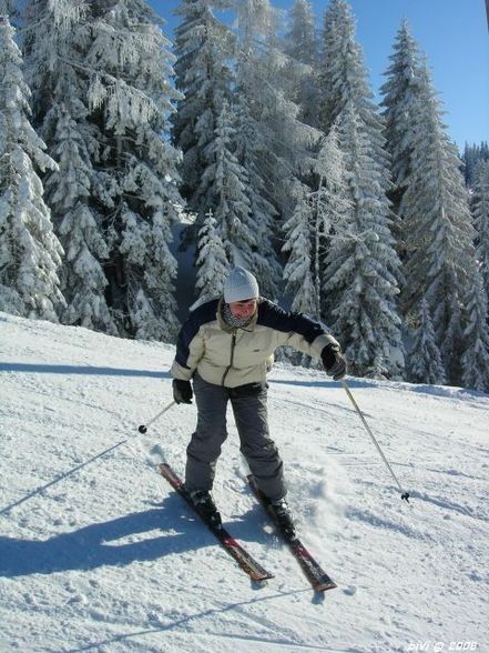 gosau supergaudi im schnee - 