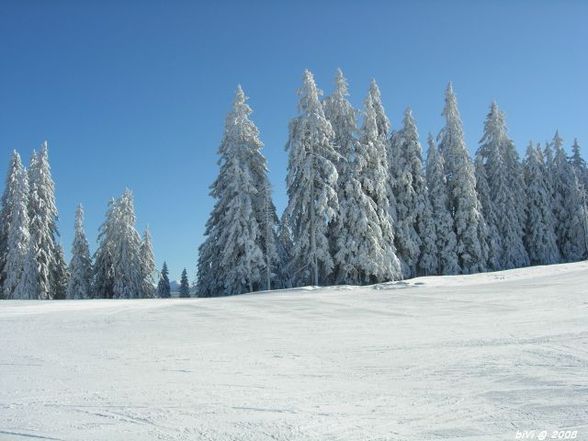 gosau supergaudi im schnee - 