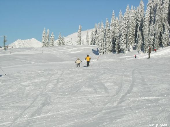 gosau supergaudi im schnee - 