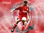 gerrard - 