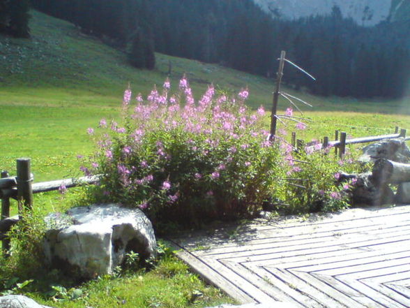 Ramsau Molln Bundesheerübung - 