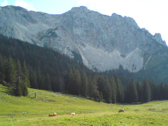 Ramsau Molln Bundesheerübung - 