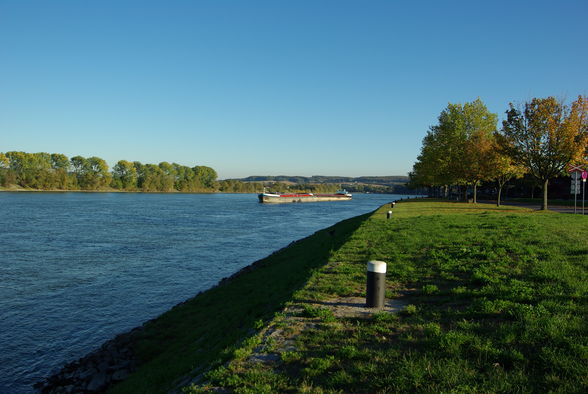 Natur - 