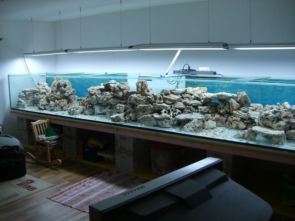 kleines Aquarium - 