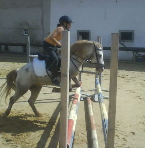 My horse Nelly - 