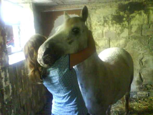 My horse Nelly - 