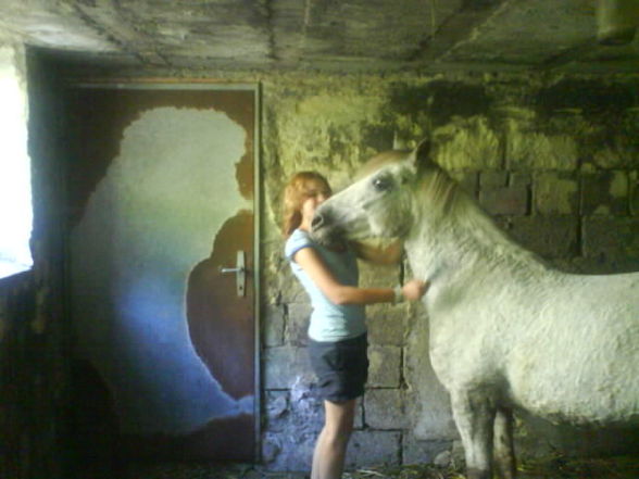 My horse Nelly - 