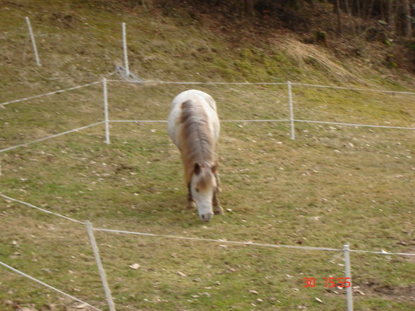 Einfach meine Süße Maus !!! - 