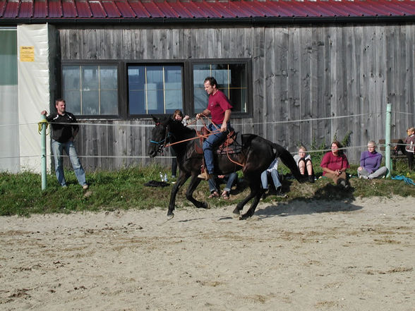 de besten pferd - 