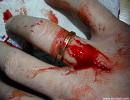 Blut - 