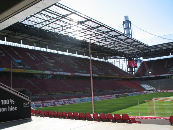 Ich bei 1.FC Köln - Mainz 05 - 