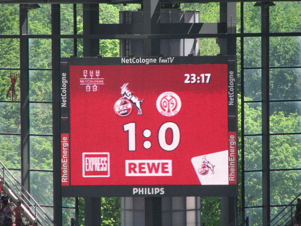 Ich bei 1.FC Köln - Mainz 05 - 