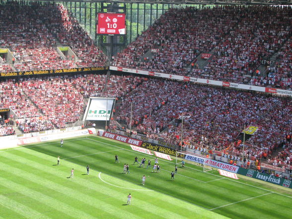 Ich bei 1.FC Köln - Mainz 05 - 