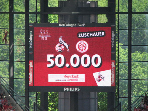 Ich bei 1.FC Köln - Mainz 05 - 