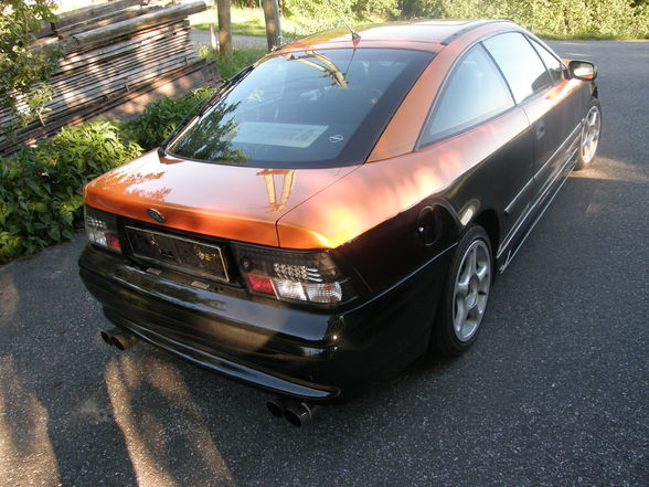 Calibra - 