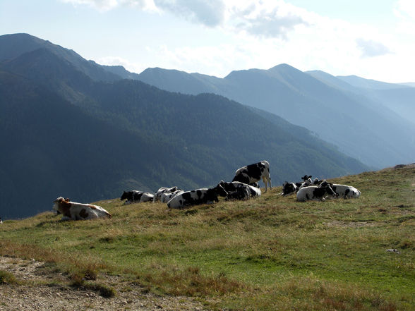 Bikertour NOCKBERGE & TURACHER HÖHEN - 