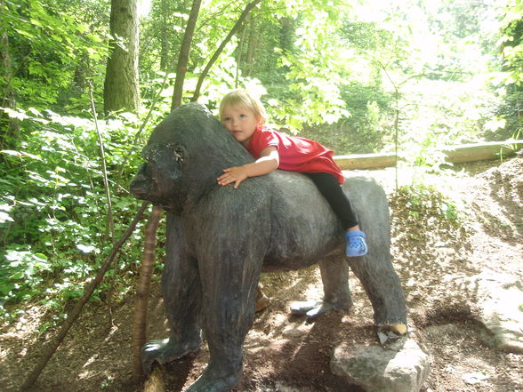 Tierpark - 