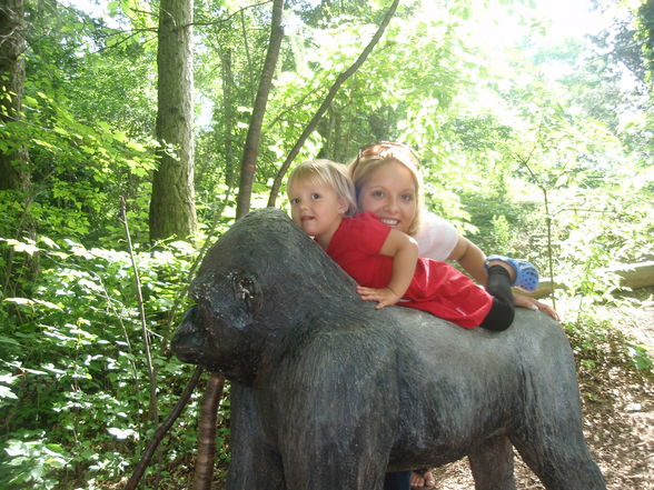 Tierpark - 