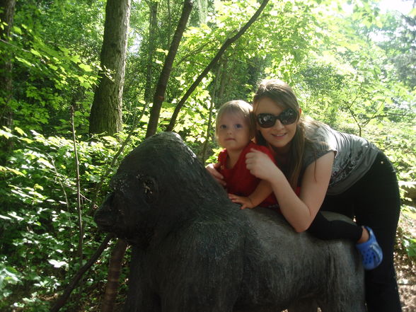 Tierpark - 