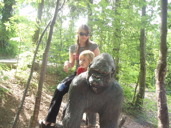 Tierpark - 