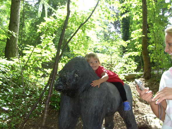 Tierpark - 