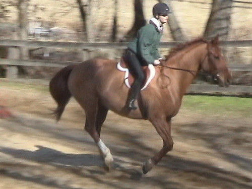 >> Reiten  - 