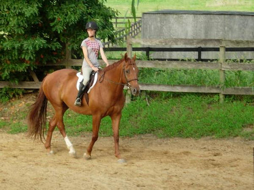 >> Reiten  - 