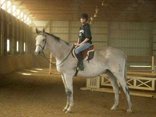 >> Reiten  - 