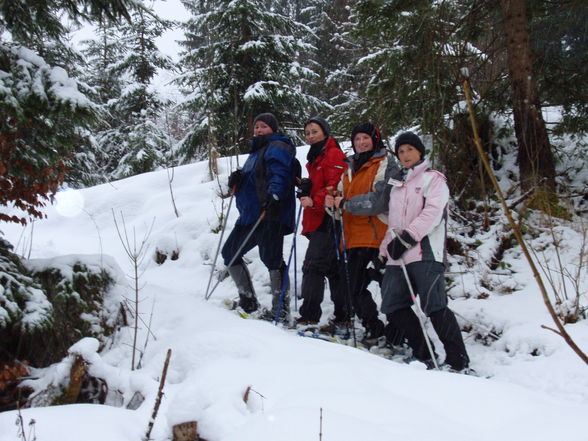 Schneeschuhwandern 2008 - 