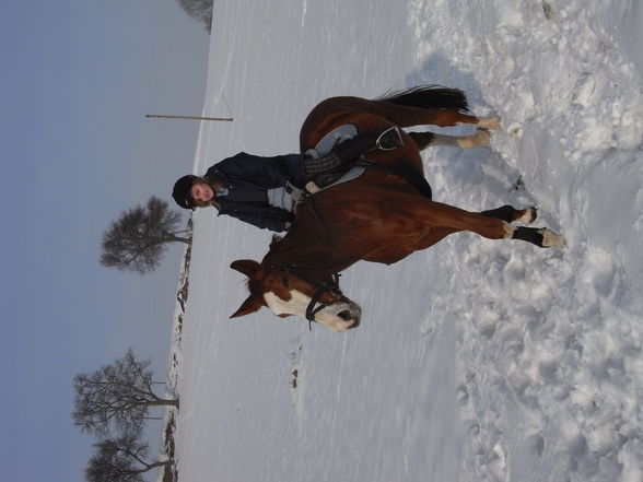 Ausreiten.... - 