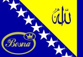 ~~BHF and BOSNA~~ - 