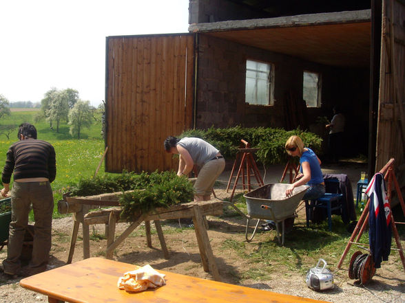 Maibaum aufstellen 2010 - 